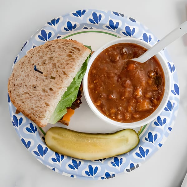 Mo's Deli sandwich, chili, and pickle on a blue and white patterned paper plate.